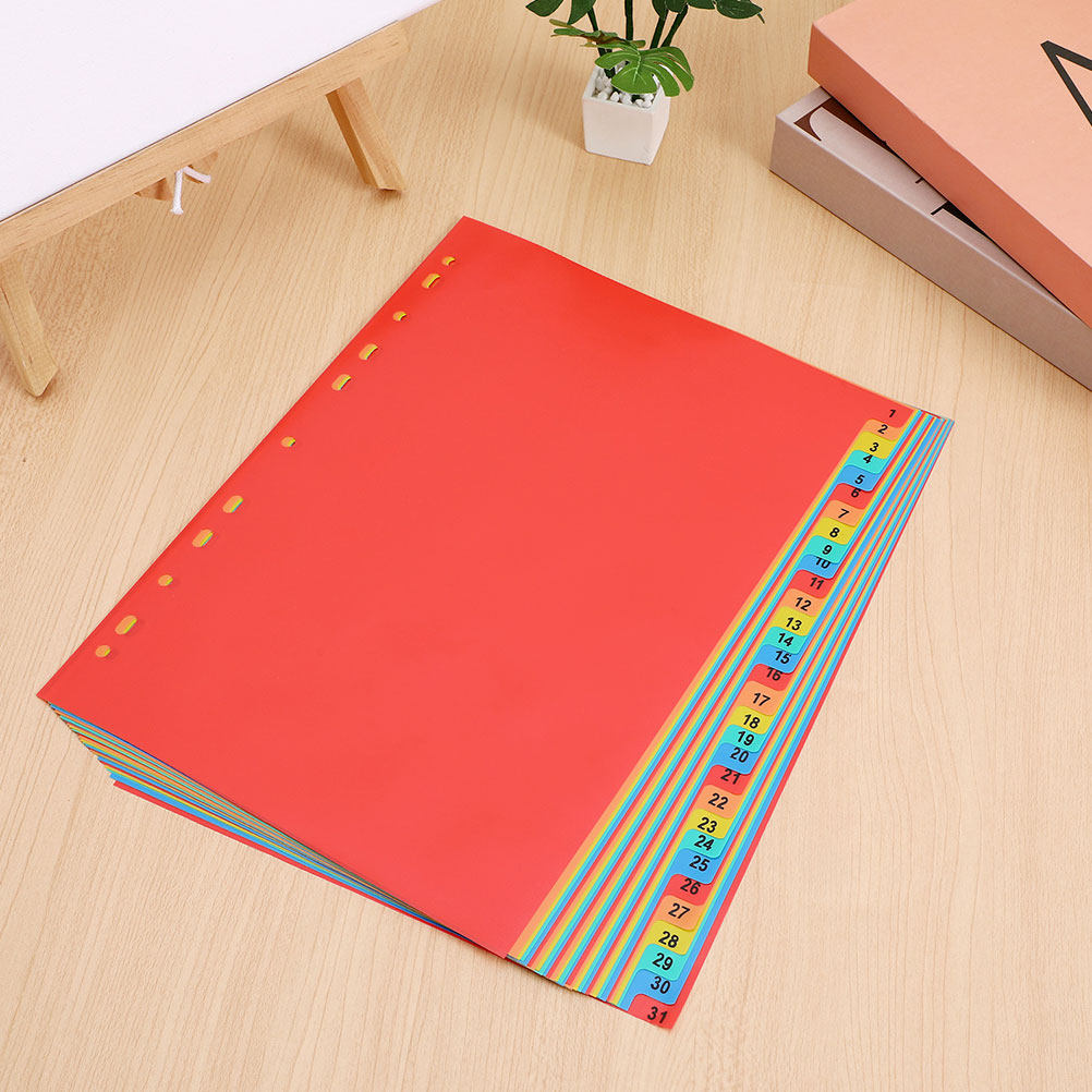 مجموعتان من فواصل الصفحات البل - مراجعة Tab Divider A4 وسعره